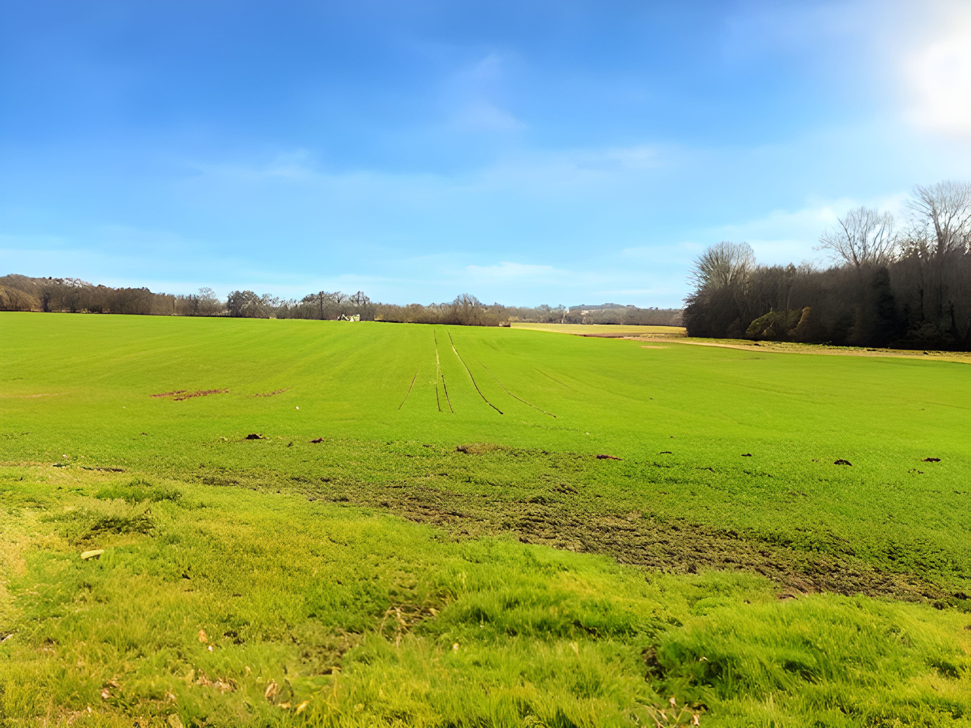 Ashdown Business Park scoped land