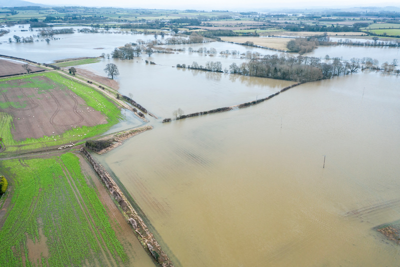 flood in field 